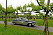 Le Jaguar nella zona del Prosecco e Cartize (87/152)